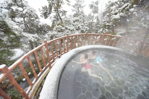 蒙山旅游度假區圓滿收官，累計接待游客26.07萬人次，實現旅游綜合收入1060.29萬元